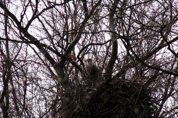 Killikus&reg; Fotographie